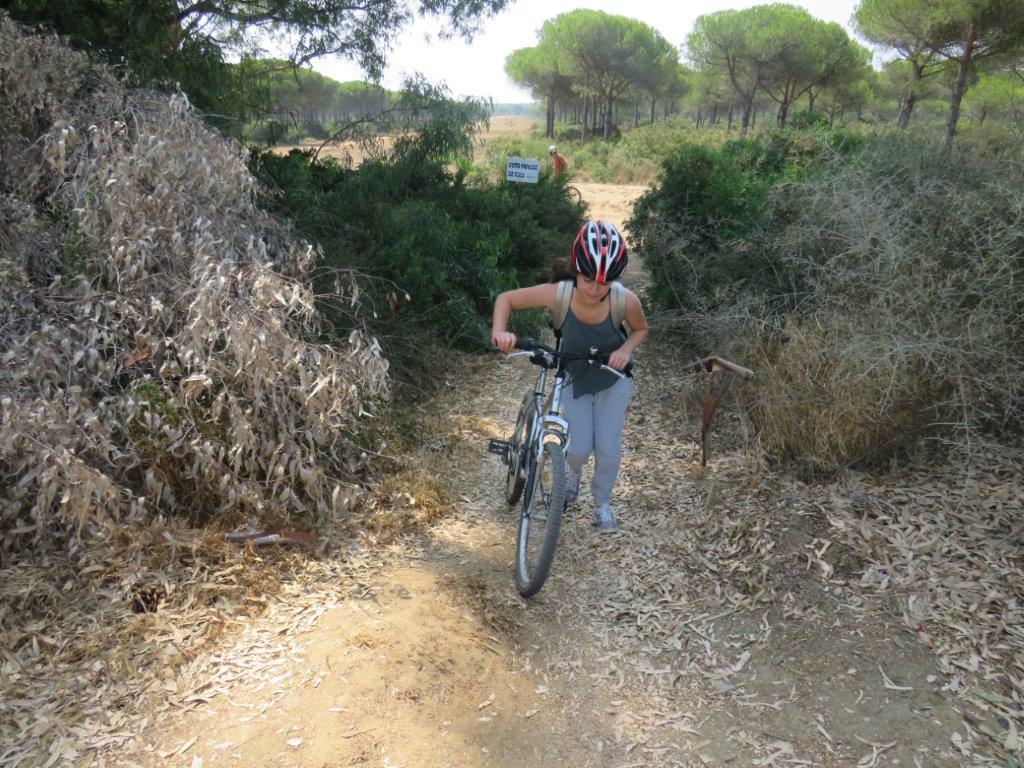Village Camps International Summer Camp Chiclana, Spain 2017-07-28 https://www.villagecamps.com/journals_admin/images/1845-0971-file1 (145).jpg